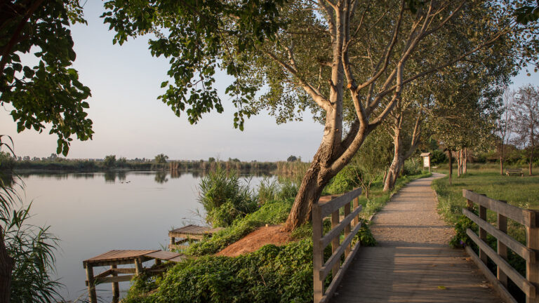 Els Estanys d’Almenara